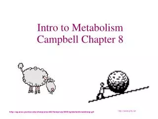 Intro to Metabolism Campbell Chapter 8