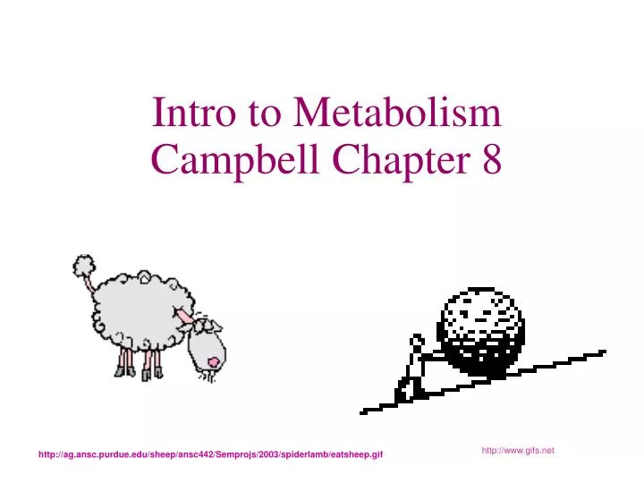 intro to metabolism campbell chapter 8