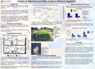 Impacts of Waterfowl and Water Levels on Wetland Vegetation