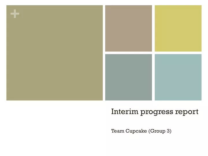 interim progress report