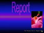 Report - slide 1