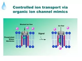 Controlled ion transport via organic ion channel mimics