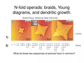 N-fold operads: braids, Young diagrams, and dendritic growth.