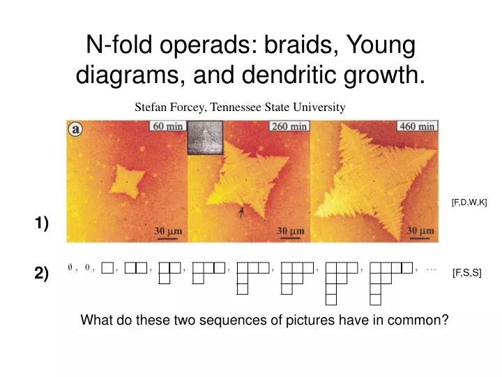 n fold operads braids young diagrams and dendritic growth