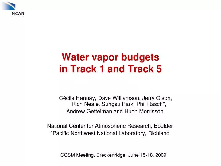 water vapor budgets in track 1 and track 5