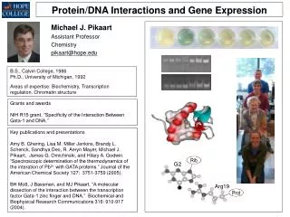 Protein/DNA Interactions and Gene Expression