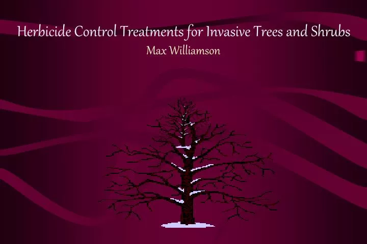 herbicide control treatments for invasive trees and shrubs max williamson