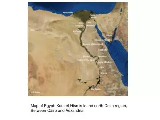 Map of Egypt: Kom el-Hisn is in the north Delta region, Between Cairo and Aexandria