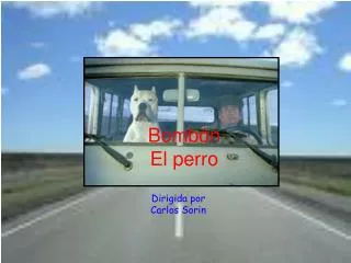 bomb n el perro