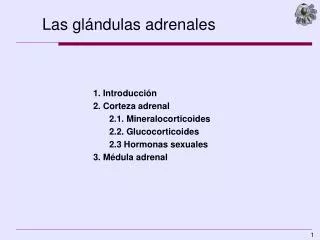 las gl ndulas adrenales