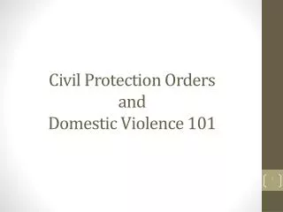Civil Protection Orders and Domestic Violence 101