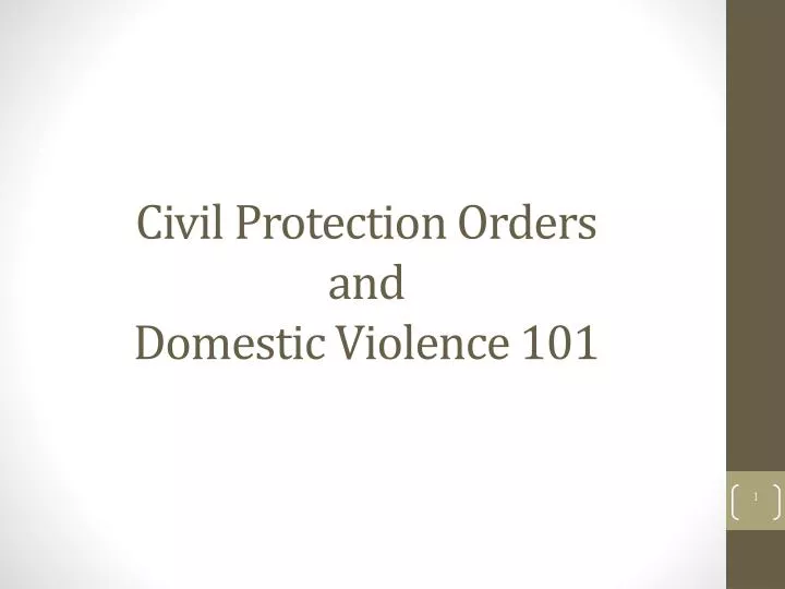 civil protection orders and domestic violence 101
