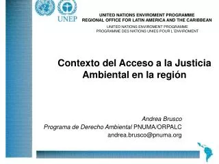 Andrea Brusco Programa de Derecho Ambiental PNUMA/ORPALC andrea.brusco@pnuma