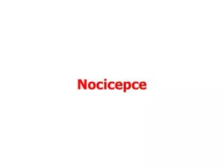 nocicepce