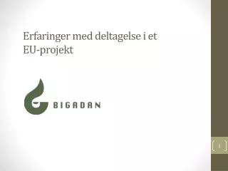 E rfaringer med deltagelse i et EU-projekt