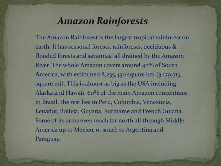 amazon rainforests