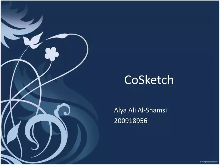 cosketch