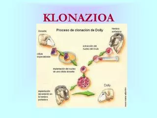 klonazioa
