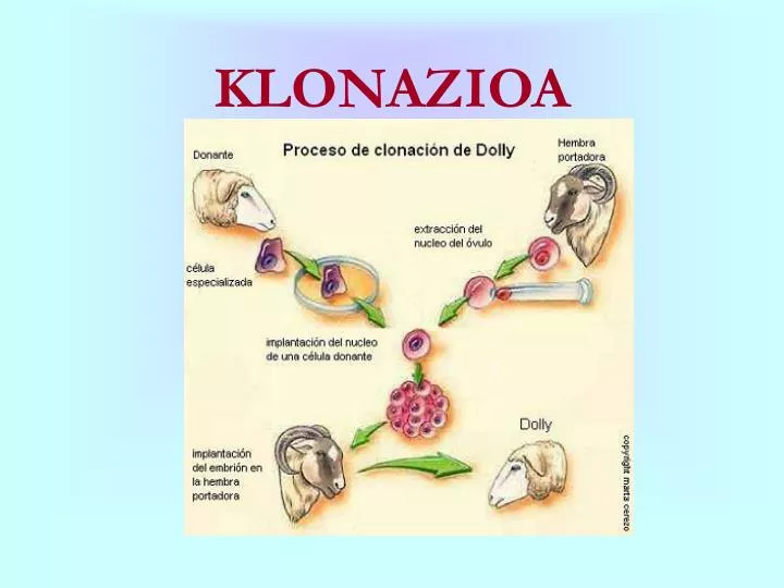 klonazioa