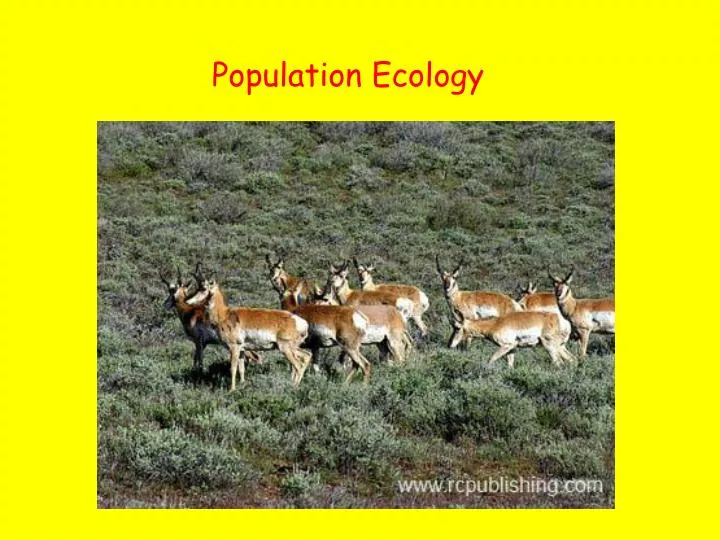 population ecology