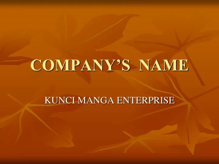 company s name