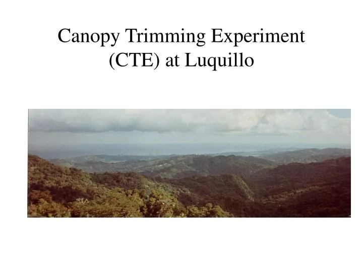 canopy trimming experiment cte at luquillo