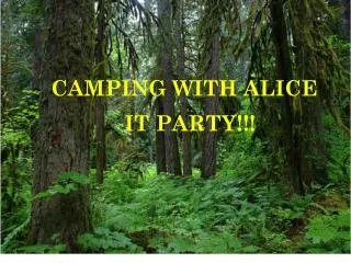 CAMPING WITH ALICE