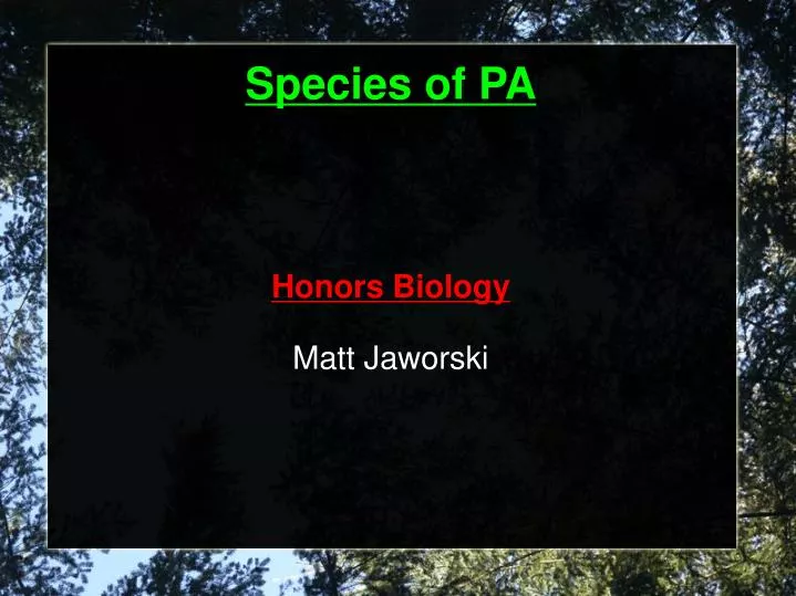 honors biology matt jaworski