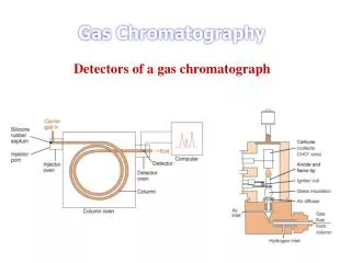 Detectors of a gas chromatograph