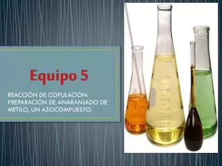 equipo 5