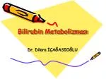 Bilirubin Metabolizması - slide 1
