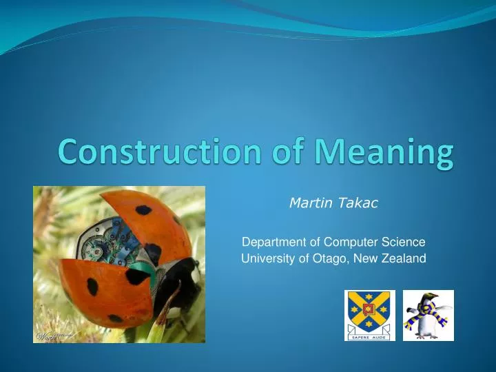 construction of meaning