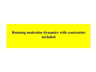 Running molecular dynamics with constraints included