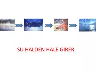su halden hale g rer