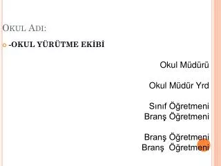 okul ad
