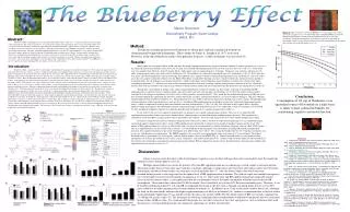 The Blueberry Effect