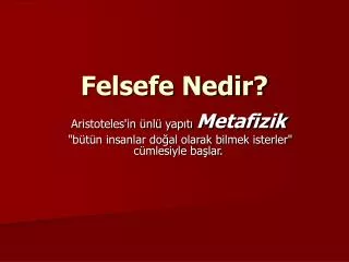 felsefe nedir