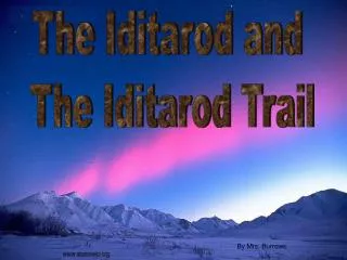 The Iditarod and The Iditarod Trail