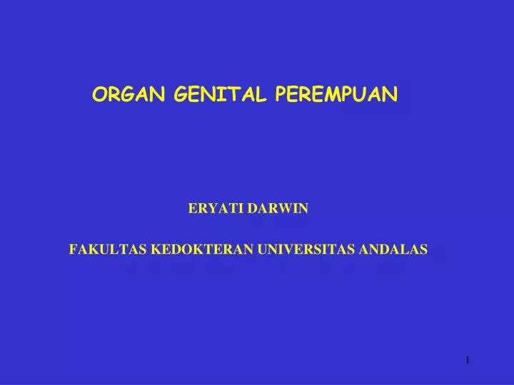 organ genital perempuan