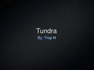 Tundra