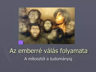 az emberr v l s folyamata