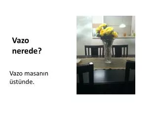 vazo nerede