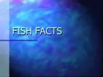 FISH FACTS - slide 1