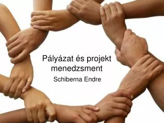 p ly zat s projekt menedzsment