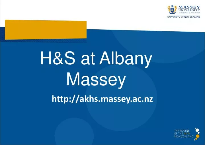 h s at albany massey
