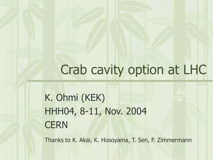 crab cavity option at lhc