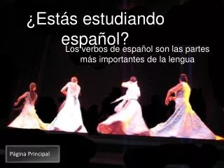 est s estudiando espa ol