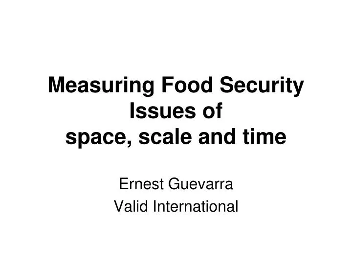 measuring food security issues of space scale and time