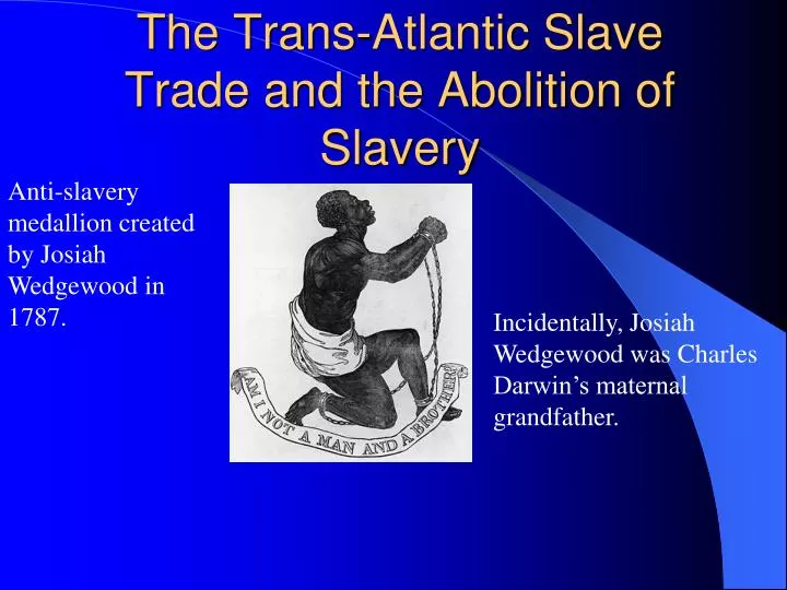 the trans atlantic slave trade and the abolition of slavery