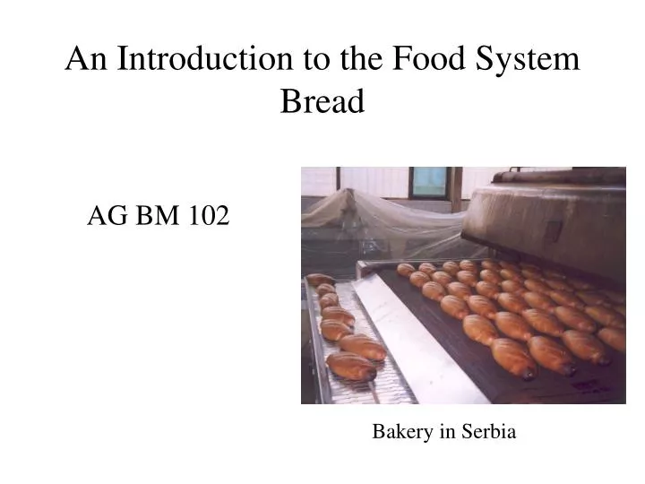 an introduction to the food system bread